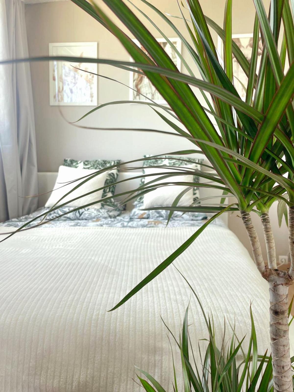 Appartement A La Grande Motte Kültér fotó